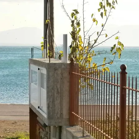 Artemis - Marina Evia