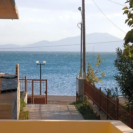 Artemis - Marina * EVIA